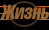 Жизнь